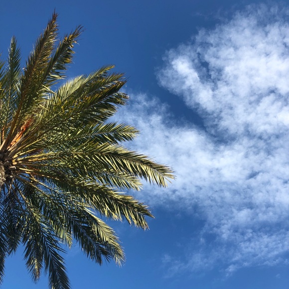 Meet your Posher, Barbara - Picture 2 of 4